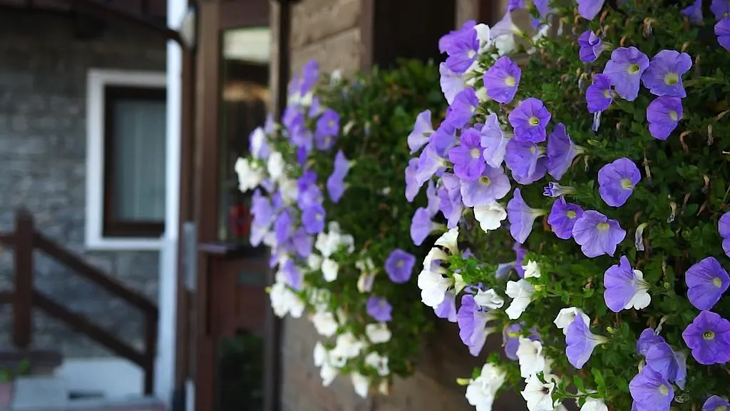 Appartamenti Nevegall Livigno Aparthotel